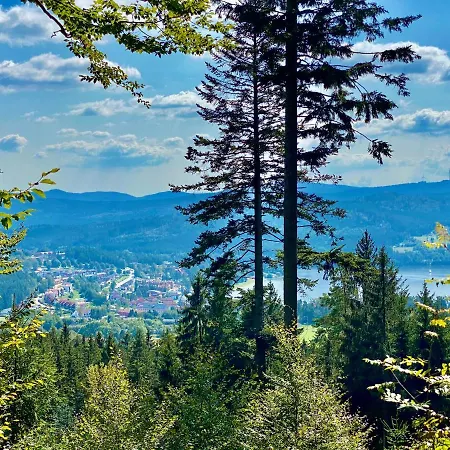 Апартаменты Lipno 46 *