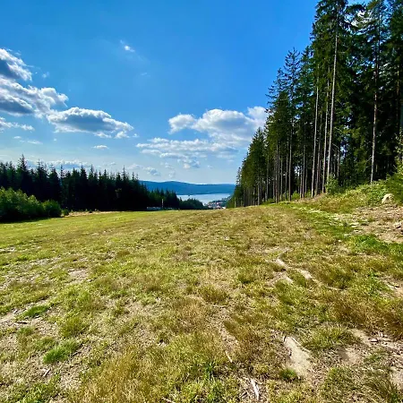 Апартаменты Lipno 46 Липно-над-Влтавой