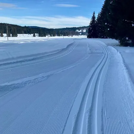 Апартаменты Lipno 46