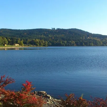 Lipno 46 Daire *