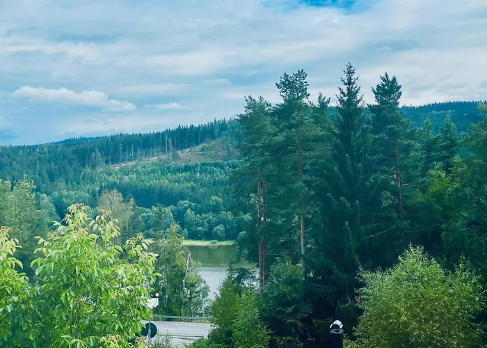 Lipno 46
