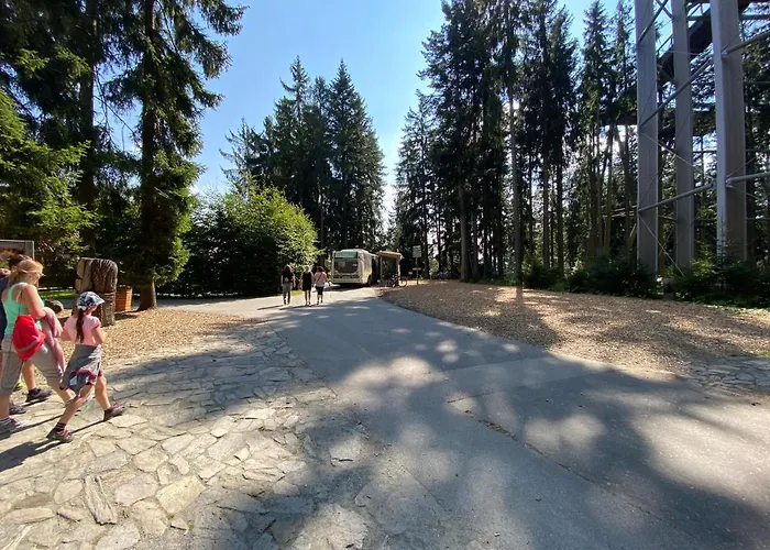 Lipno 46 * Lipno nad Vltavou