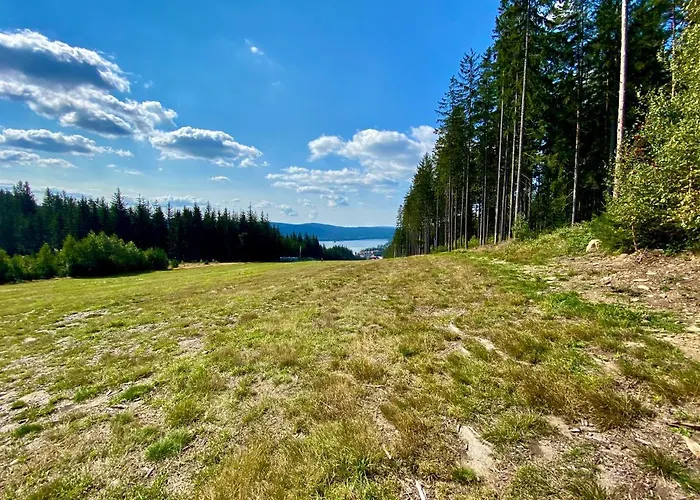 Apartmán Lipno 46 Lipno nad Vltavou