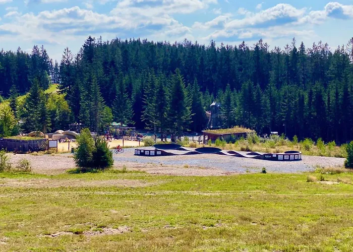 Apartmán Lipno 46