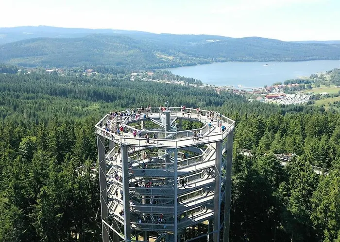 Lipno 46 *
